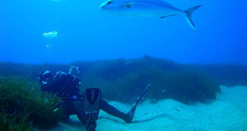 DENIZKIZI ROYAL HOTEL