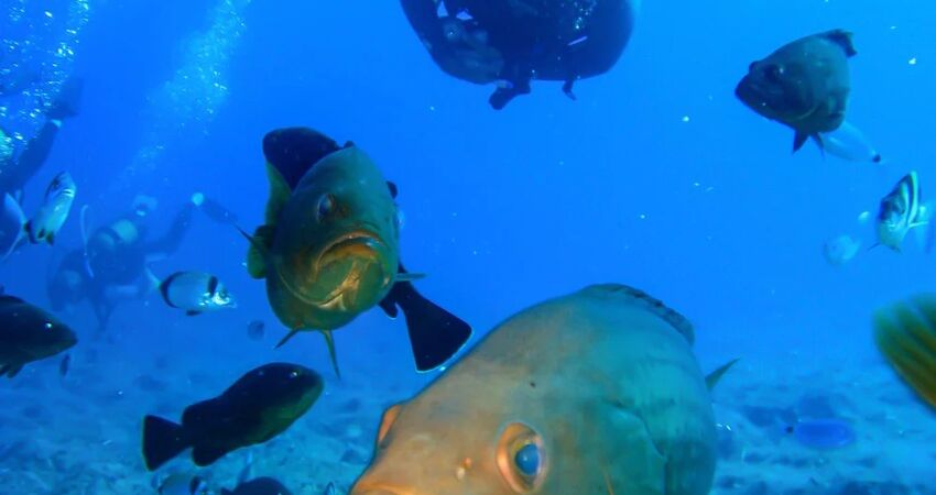 DENIZKIZI ROYAL HOTEL